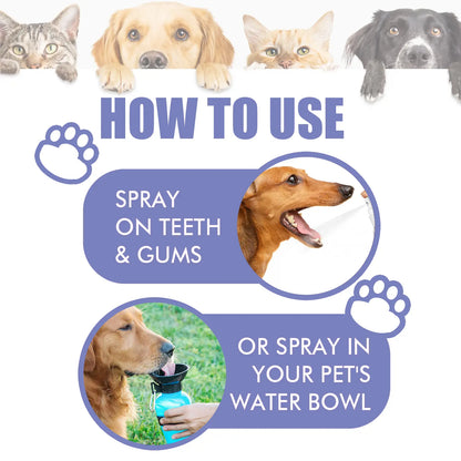 Qilyno™ 🍃No-Brushing Oral Care Spray for Dogs & Cats