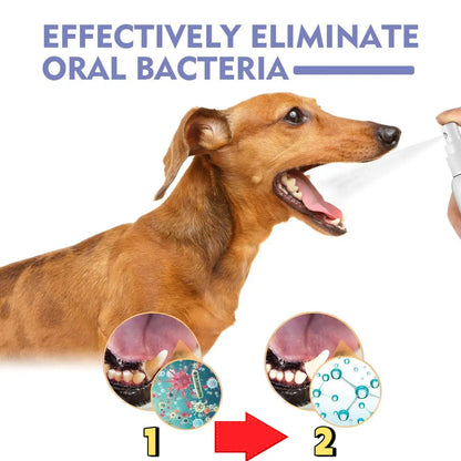 Qilyno™ 🍃No-Brushing Oral Care Spray for Dogs & Cats