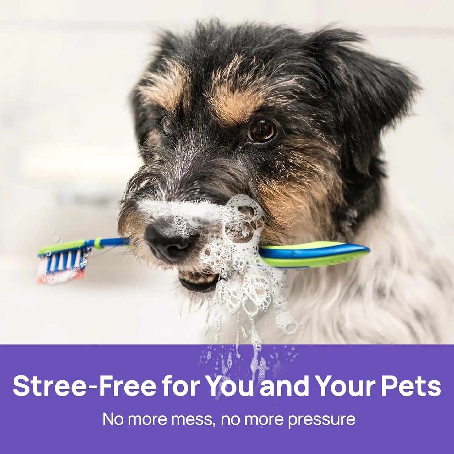 Qilyno™ 🍃No-Brushing Oral Care Spray for Dogs & Cats